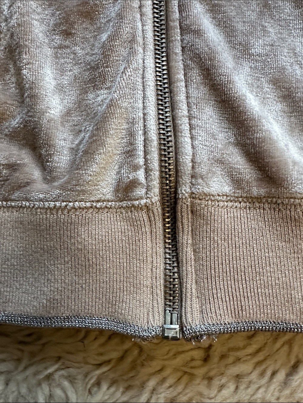 BCBGMaxAzria Taupe Velour Short-Sleeve Hoodie & Joggers Set - Picture 5 of 12